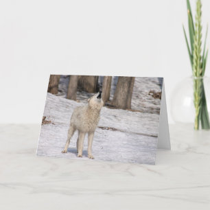 Weißer Wolf, der leeres Notecard heult Karte