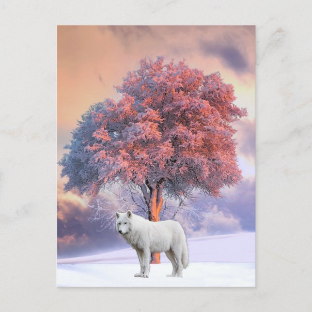 Weißer Wolf im Winter | Postkarte (Vorderseite)