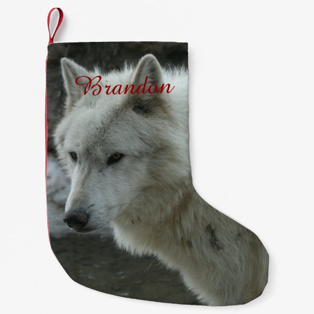 Weißer Wolf Kleiner Weihnachtsstrumpf (Vorderseite)