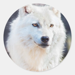 WEISSER WOLF RUNDER AUFKLEBER