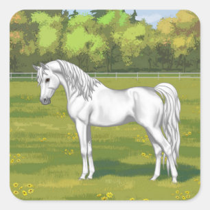 Weißes ägyptisches Arabisches Pferd in Sommerweide Quadratischer Aufkleber