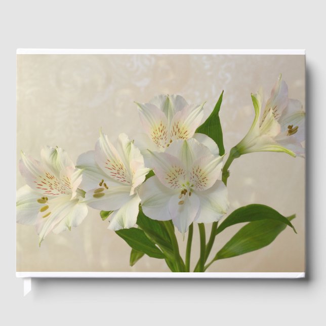 Weißes Alstromeria-Blume Gästebuch (Vorderseite)