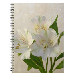 Weißes Alstromeria-Blume Notizblock