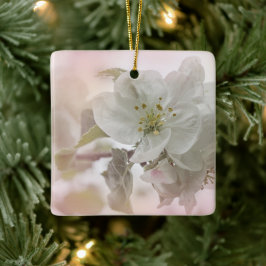 Weißes Apfelblütenfoto Keramikornament