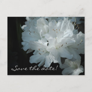 Weißes Azalee Save the Date Postkarte