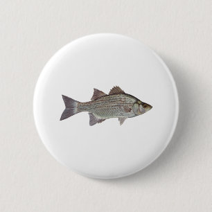 Weißes Bass-Logo Button