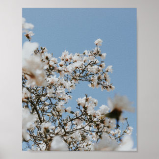 Weißes Blume Poster