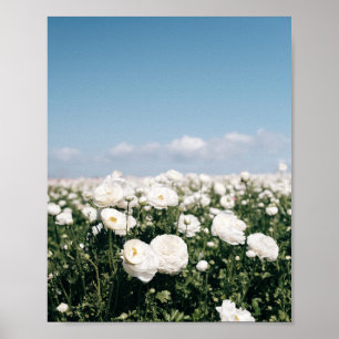 Weißes Blumenfeld - Poster Druck