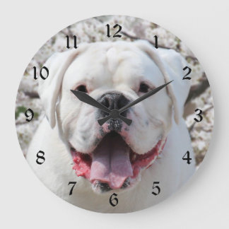 Weißes Bulldoggesicht Große Wanduhr