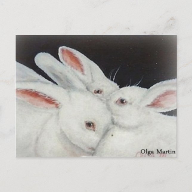 Weißes Bunny Rabbit Postkarte (Vorderseite)