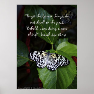 Weißes Butterfly-Poster Poster