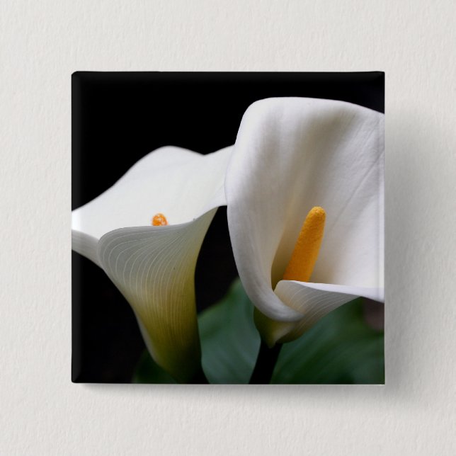 Weißes Calla-Lilien-Blumen-Quadrat-Button Button (Vorderseite)