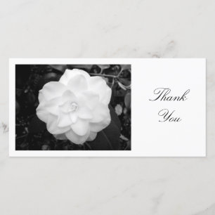 Weißes Camelia - danke
