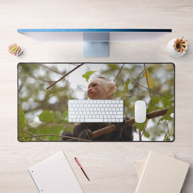Weißes Capuchin, Exotische Affenfotografie Schreibtischunterlage (Büro 1)