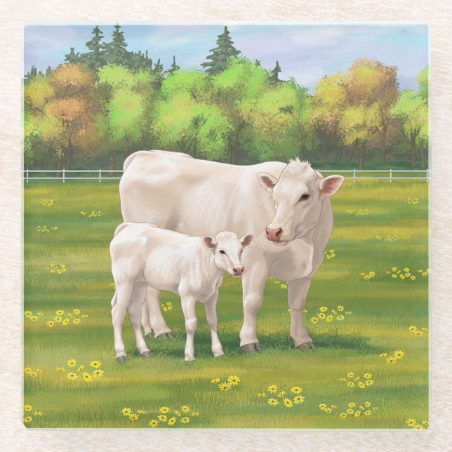 Weißes Charolais Kuh und Niedliches Rindfleisch Ri Glasuntersetzer (Vorderseite)