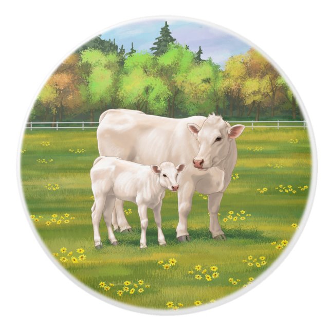 Weißes Charolais Kuh und Niedliches Rindfleisch Ri Keramikknauf (Vorderseite)