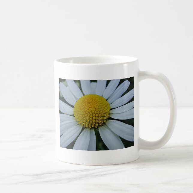 Weißes Chrysanthemum mit gelber Mitte Kaffeetasse (Rechts)
