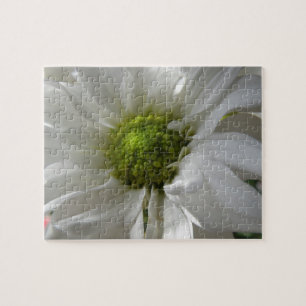 Weißes Chrysanthemum Puzzle