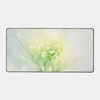 Weißes Chrysanthemum Schönes weißes Mama Fotografi Schreibtischunterlage