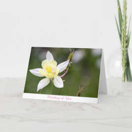 Weißes Columbine, das an Sie denkt, kardieren Karte