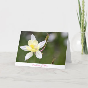 Weißes Columbine, das an Sie denkt, kardieren Karte