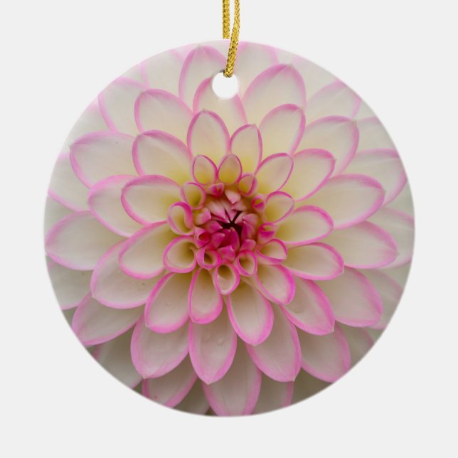 Weißes Dahlia mit rosa Blume Keramik Ornament (Vorne)