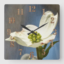 Weißes Dogwood Bloom Quadratische Wanduhr