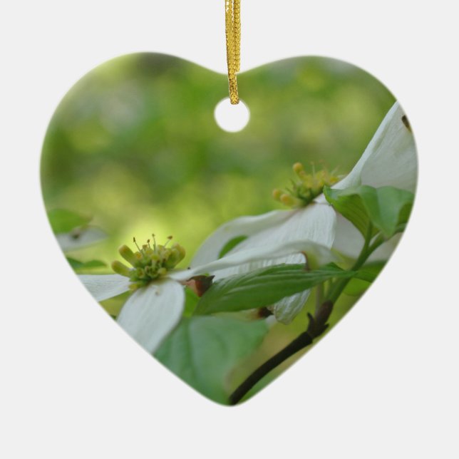 Weißes Dogwood Blüten Blume Ornament (Vorne)