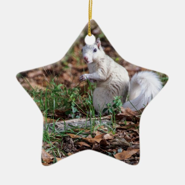 Weißes Eichhörnchen von Brevard Keramik Ornament (Vorne)