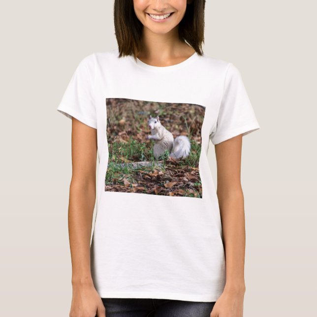 Weißes Eichhörnchen von Brevard T-Shirt (Vorderseite)