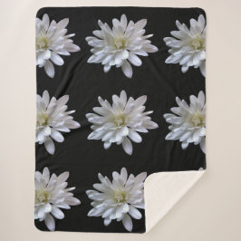 Weißes Farbmuster, weiße Blume Sherpadecke
