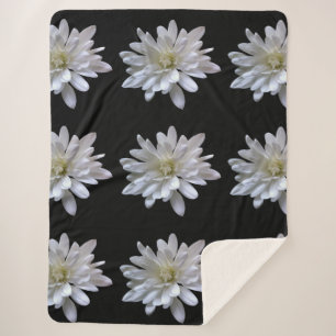 Weißes Farbmuster, weiße Blume Sherpadecke