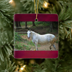 Weißes Foto Keramikornament