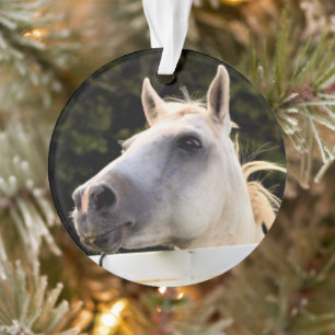 Weißes Foto Ornament