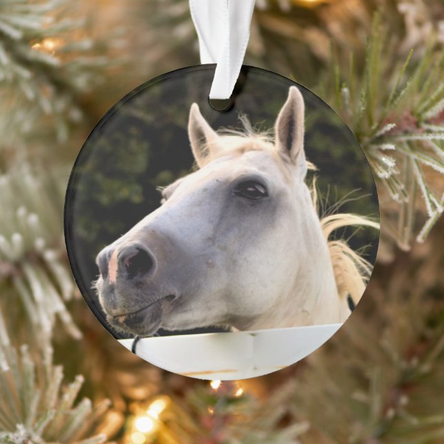 Weißes Foto Ornament (Baum)