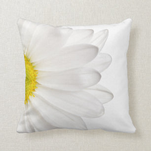 Weißes Gänseblümchen-Blumen-Hintergrund Kissen