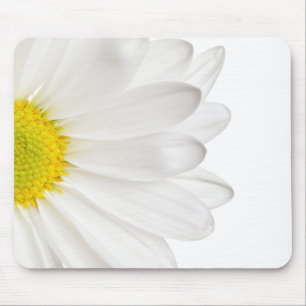 Weißes Gänseblümchen-Blumen-Hintergrund Mousepad