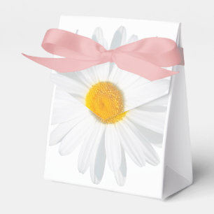 weißes Gänseblümchen Geschenkschachtel