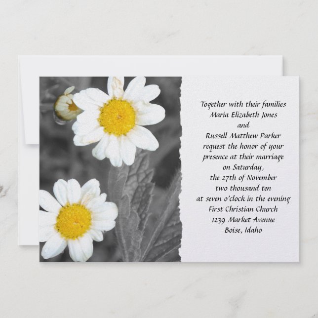 Weißes Gänseblümchen-Hochzeit Einladung (Vorderseite)