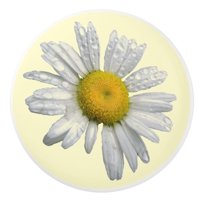 Weißes Gänseblümchen-Keramik-Griff Keramikknauf (Vorderseite)