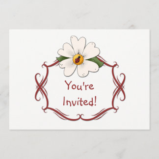 Weißes Gänseblümchen-und Einladung