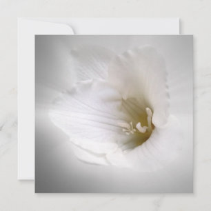 Weißes Gefrierwasser