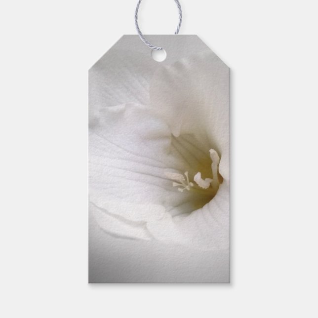 Weißes Gefrierwasser Geschenkanhänger (Vorderseite)