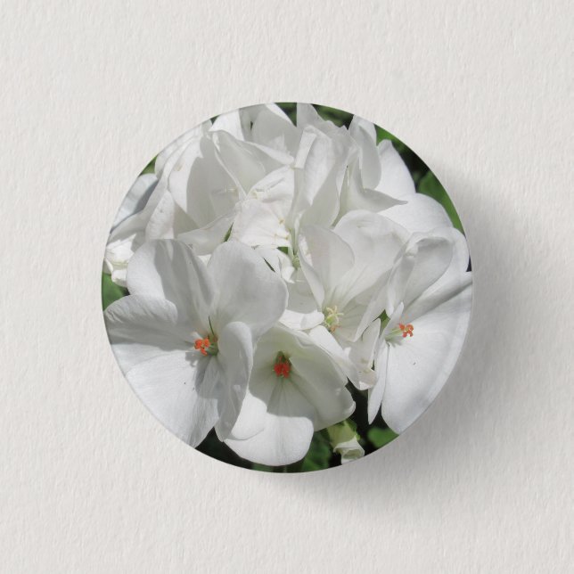 Weißes Geranium-Blume-Foto Button (Vorderseite)