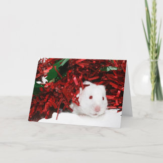 Weißes Hamster Weihnachten