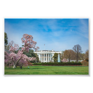 Weißes Haus im Frühjahr Fotodruck
