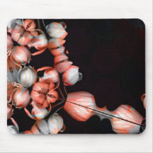 "Weißes Herz in Schwarz von der Sonne"