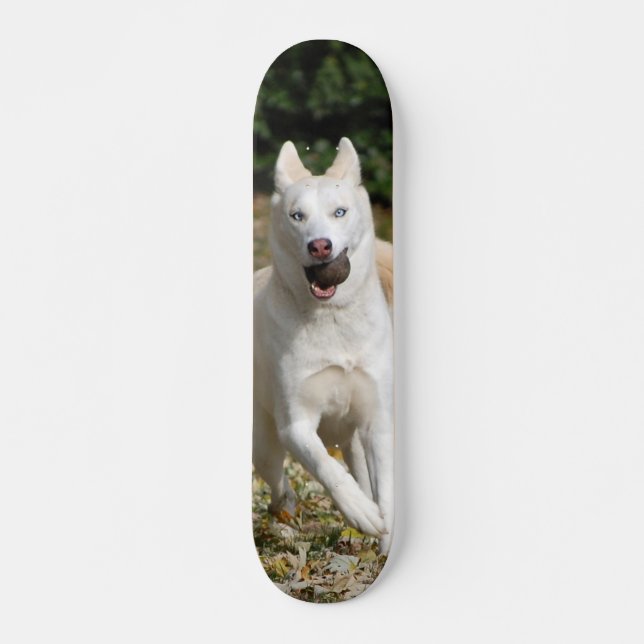 Weißes Husky-Skateboard Skateboard (Vorne)