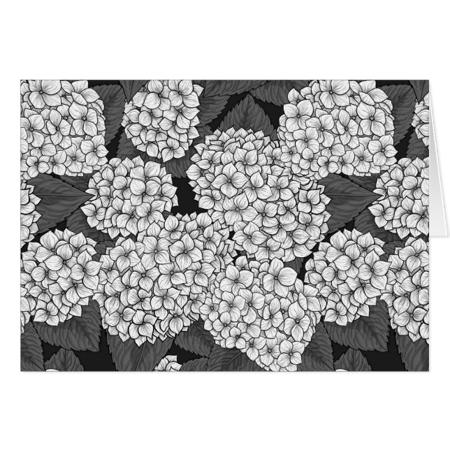 Weißes Hydrangea (Vorderseite (Horizontal))