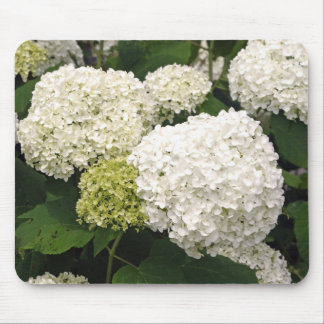 Weißes Hydrangea Mousepad